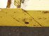 Werkzeuge des Typs New Holland 1545, Gebrauchtmaschine in Hemmet (Bild 19)
