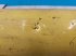 Werkzeuge des Typs New Holland Clayson M80, Gebrauchtmaschine in Hemmet (Bild 8)