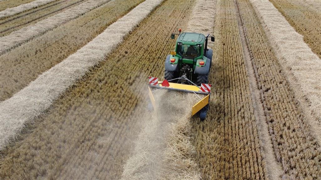 Wiesenegge des Typs Elho TR 300, Gebrauchtmaschine in Randers SV (Bild 4)