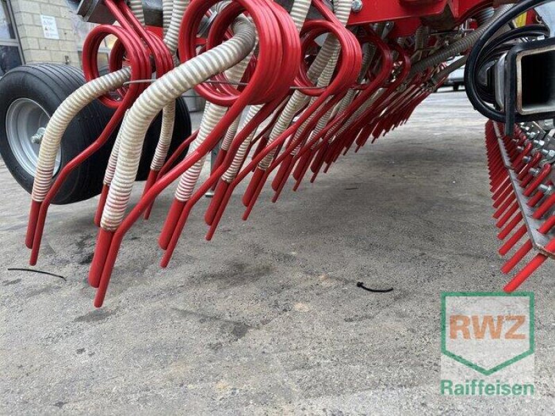 Wiesenegge of the type Güttler GreenMaster 600 Zinken- + Breitsaat, Gebrauchtmaschine in Prüm (Picture 4)
