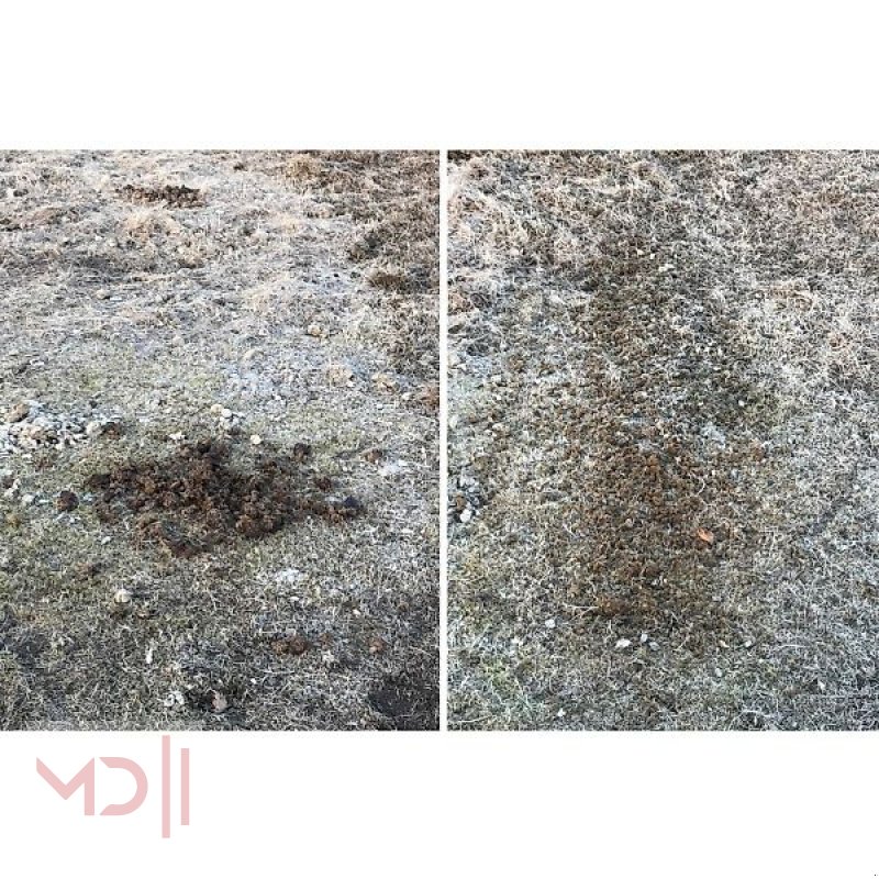 Wiesenegge des Typs MD Landmaschinen Kellfri Wiesenschleppe 1,5m, 2,0m, Neumaschine in Zeven (Bild 12)