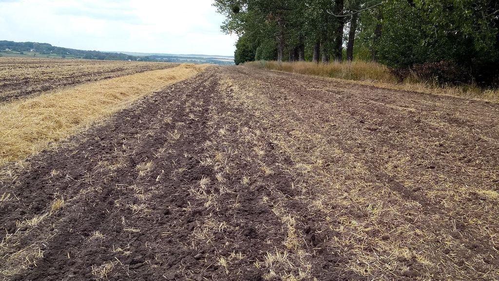 Wiesenegge of the type Rolmako U-671 Pro, Gebrauchtmaschine in Вінниця (Picture 3)