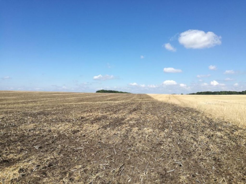 Wiesenegge of the type Rolmako U-671 Pro, Gebrauchtmaschine in Вінниця (Picture 5)