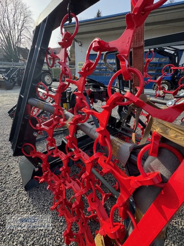 Wiesenegge van het type Saphir Perfekt 603S4, Neumaschine in Lindenfels-Glattbach (Foto 6)