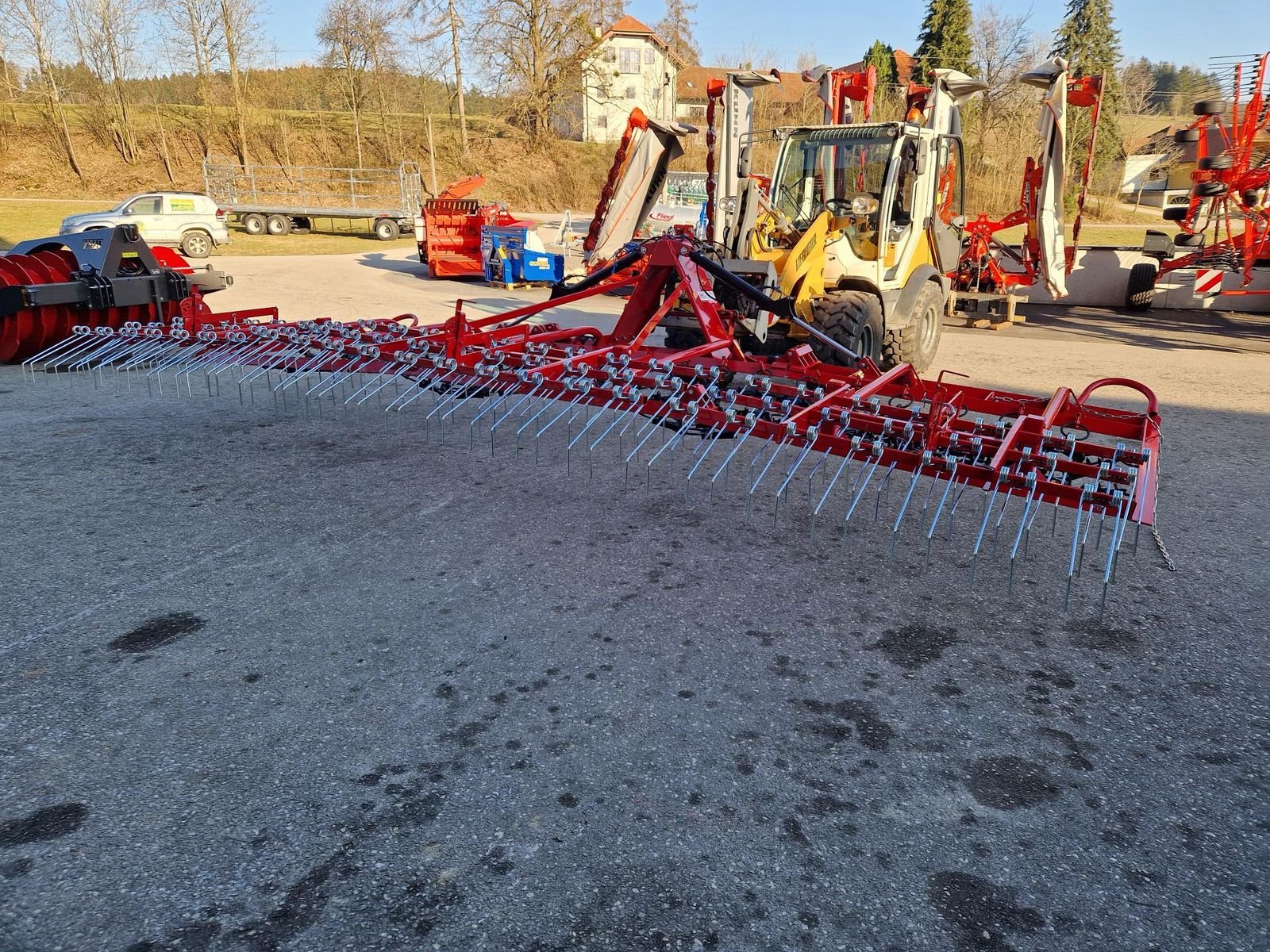Wiesenegge typu Sonstige 6m Wiesenegge mit 3 reihigen Wiesenstriegel, Neumaschine v Grünbach (Obrázek 2)