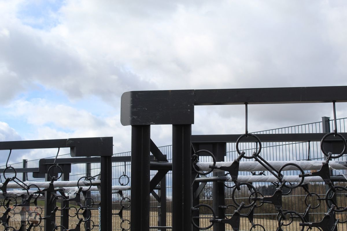 Wiesenegge a típus Sonstige SAT Wiesenschleppe, Wiesenegge - Aktion, Neumaschine ekkor: Eberschwang (Kép 20)