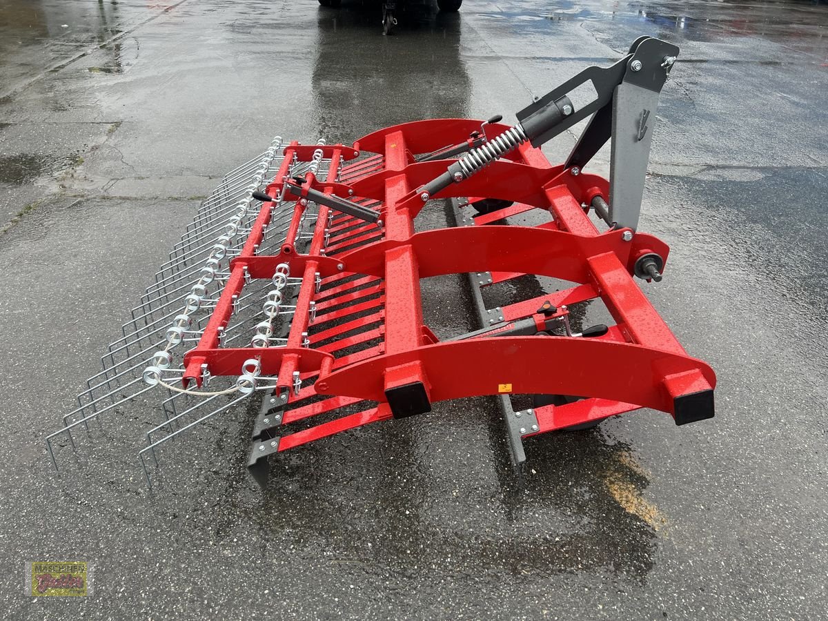 Wiesenegge des Typs Sonstige Weidebelüfter 240, Neumaschine in Kötschach (Bild 4)