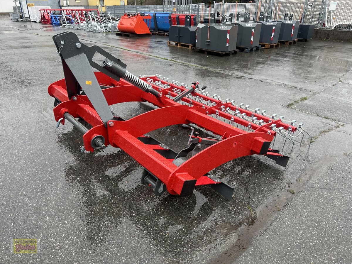 Wiesenegge des Typs Sonstige Weidebelüfter 240, Neumaschine in Kötschach (Bild 2)
