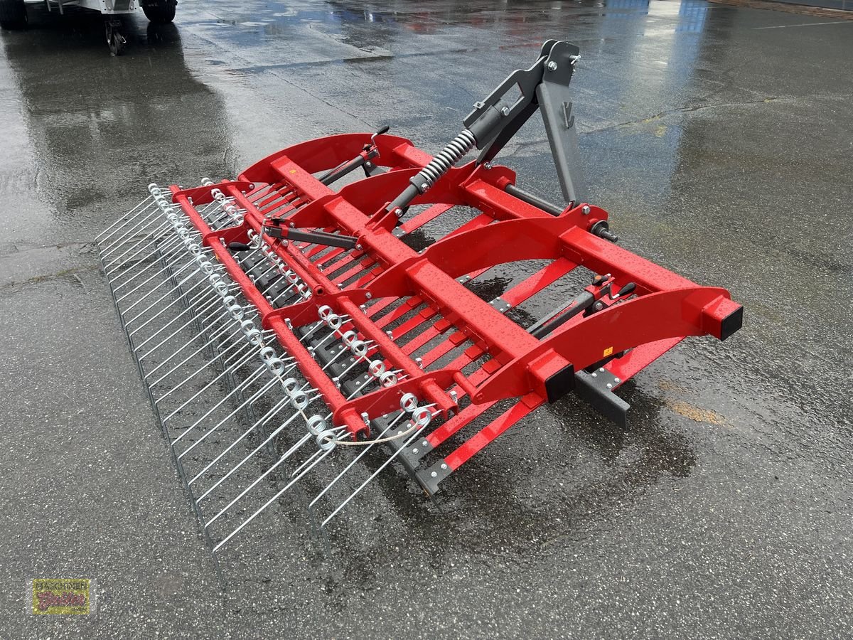 Wiesenegge des Typs Sonstige Weidebelüfter 240, Neumaschine in Kötschach (Bild 5)