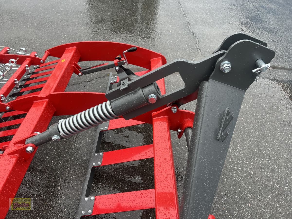 Wiesenegge des Typs Sonstige Weidebelüfter 240, Neumaschine in Kötschach (Bild 12)