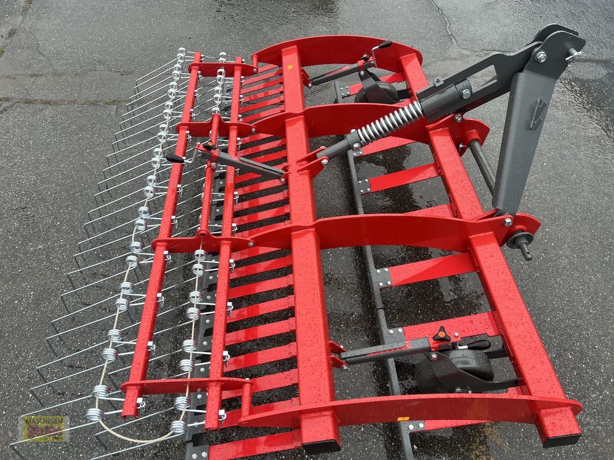 Wiesenegge des Typs Sonstige Weidebelüfter 240, Neumaschine in Kötschach (Bild 15)