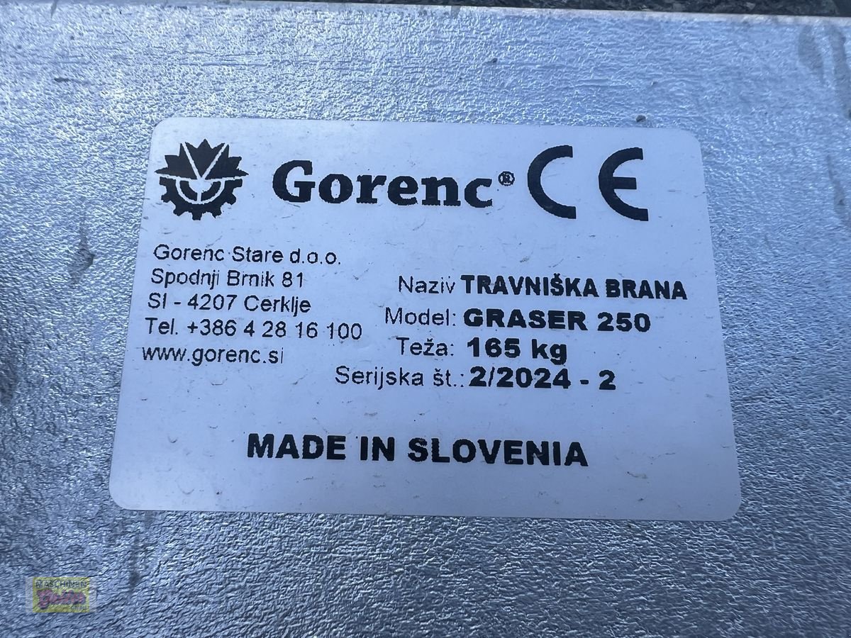 Wiesenegge des Typs Sonstige Wiesenegge Gorenc Graser 250 Starr, Neumaschine in Kötschach (Bild 9)
