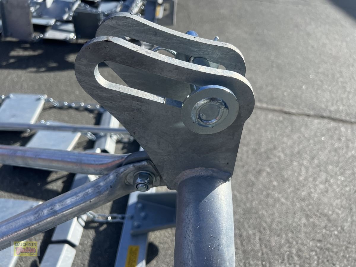 Wiesenegge des Typs Sonstige Wiesenegge Gorenc Graser 250 Starr, Neumaschine in Kötschach (Bild 8)