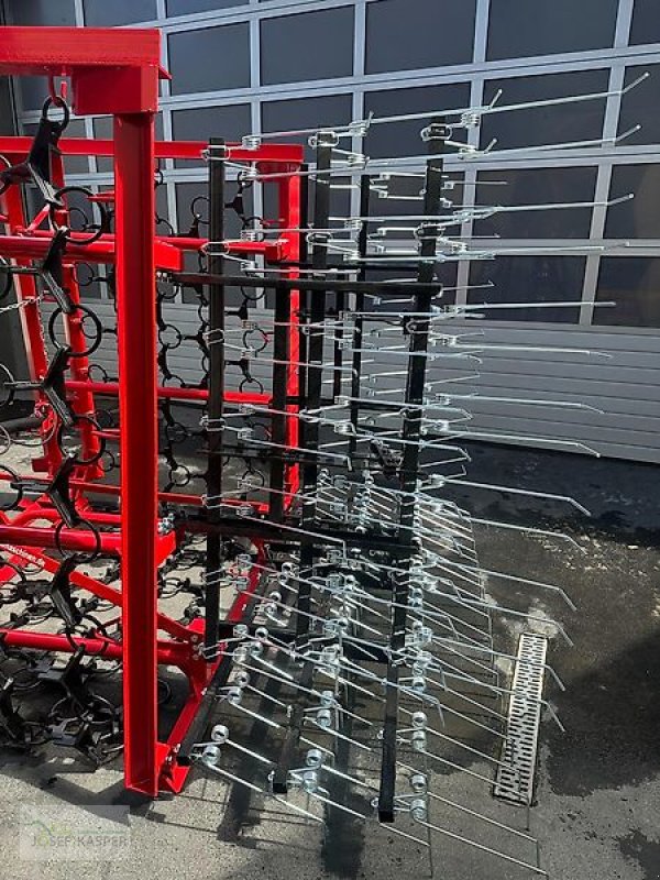 Wiesenegge des Typs Sonstige Wiesenschleppe 6,00 m breit mit Striegel, Neumaschine in Alitzheim (Bild 5)