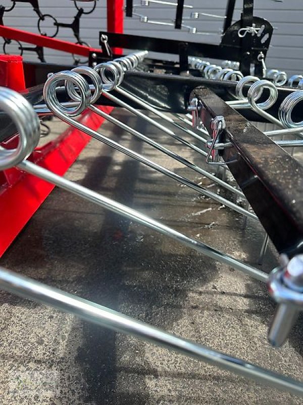 Wiesenegge des Typs Sonstige Wiesenschleppe 6,00 m breit mit Striegel, Neumaschine in Alitzheim (Bild 11)