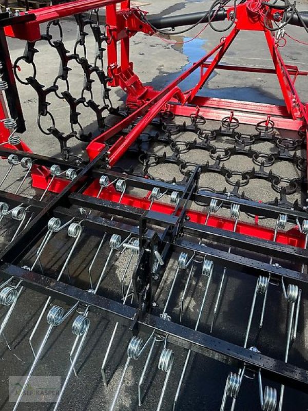 Wiesenegge des Typs Sonstige Wiesenschleppe 6,00 m breit mit Striegel, Neumaschine in Alitzheim (Bild 7)