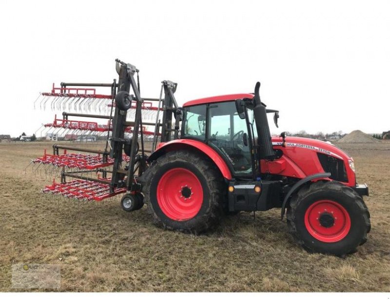 Wiesenegge typu Vemac Wiesenstriegel 12m Striegel Wiesenschleppe Hackstriegel NEU, Neumaschine v Sülzetal OT Osterweddingen (Obrázek 2)