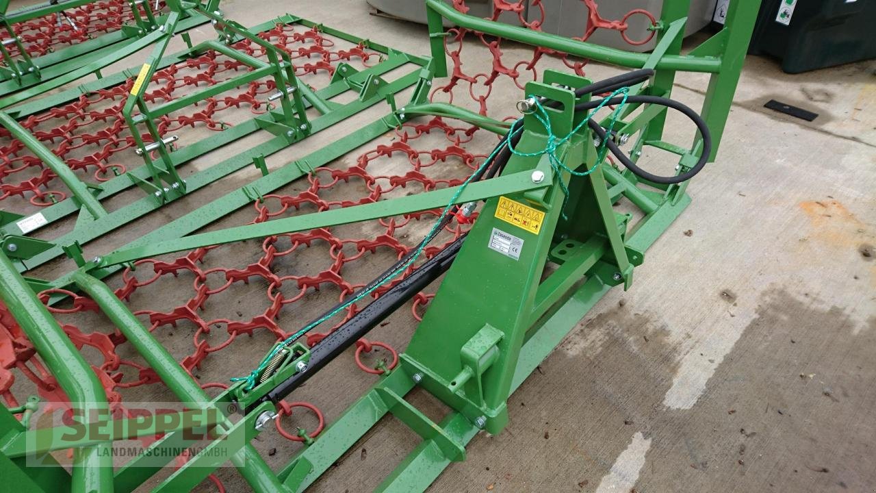 Wiesenegge des Typs ZAGRODA WIESENEGGE 6SH/4, Neumaschine in Groß-Umstadt (Bild 5)