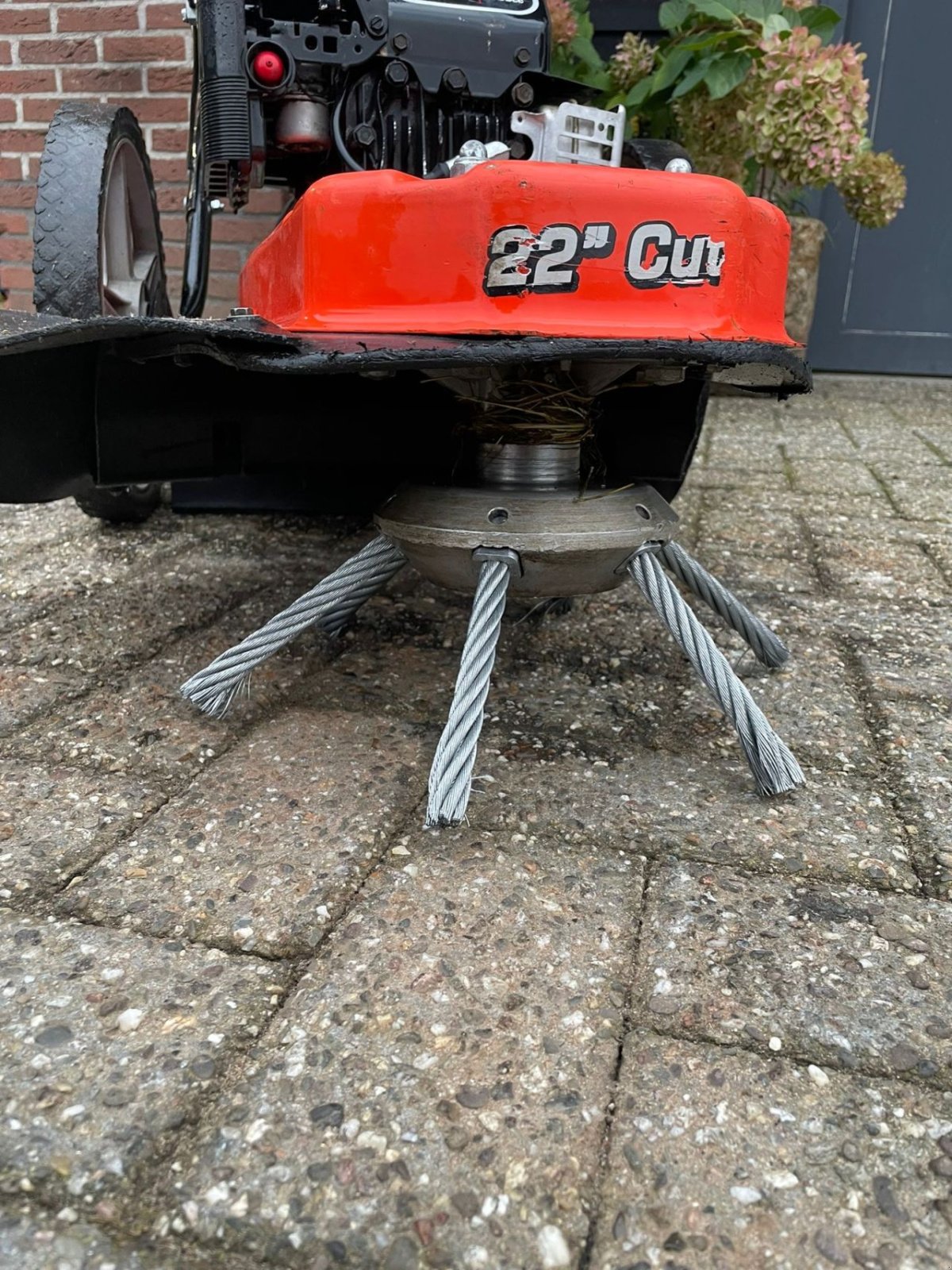 Wildkrautbürste Türe ait Ariens Stingtrim, Gebrauchtmaschine içinde Klarenbeek (resim 4)