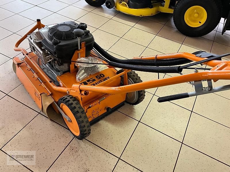 Wildkrautbürste of the type AS-Motor AS 50 WeedHex Wildkrautbürste, Gebrauchtmaschine in Asendorf (Picture 5)