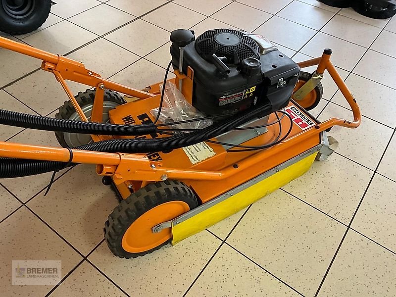 Wildkrautbürste of the type AS-Motor AS 50 WeedHex Wildkrautbürste, Gebrauchtmaschine in Asendorf (Picture 4)