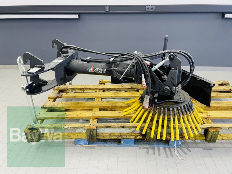 Wildkrautbürste typu GiANT WILDKRAUTBÜRSTE 2300 MM, Gebrauchtmaschine v Manching (Obrázek 3)
