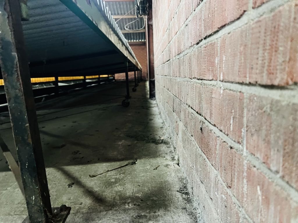 Wildkrautbürste of the type Sonstige Onbekend LH-AGRO spuittestbaan, Neumaschine in Coevorden (Picture 8)