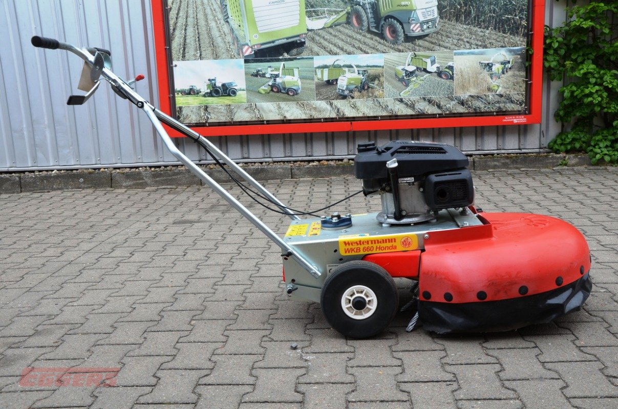 Wildkrautbürste typu Westermann WKB 660, Gebrauchtmaschine v Suhlendorf (Obrázek 3)