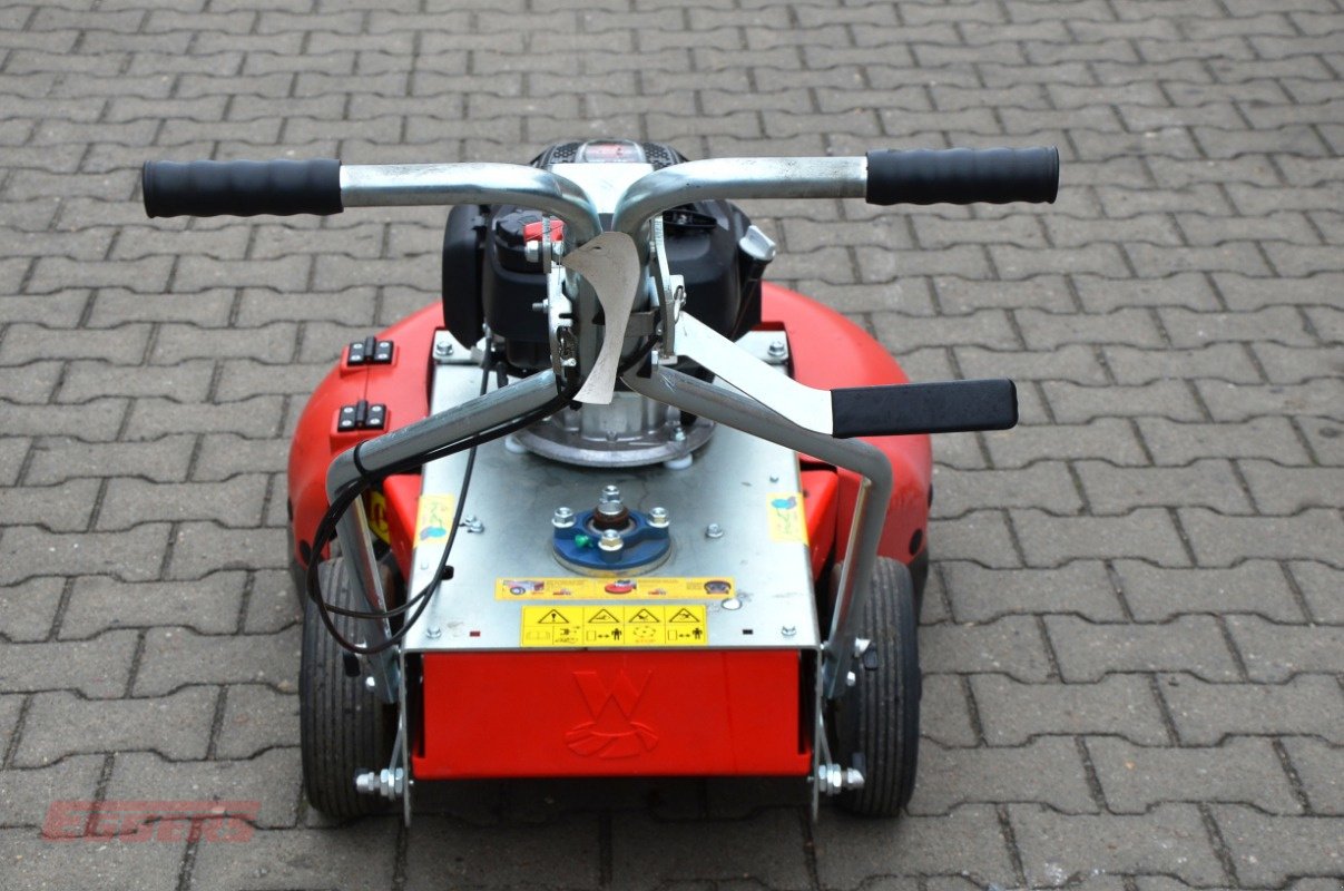 Wildkrautbürste typu Westermann WKB 660, Gebrauchtmaschine v Suhlendorf (Obrázek 4)