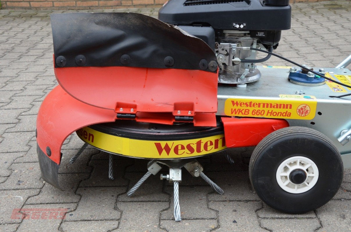 Wildkrautbürste typu Westermann WKB 660, Gebrauchtmaschine v Suhlendorf (Obrázek 9)