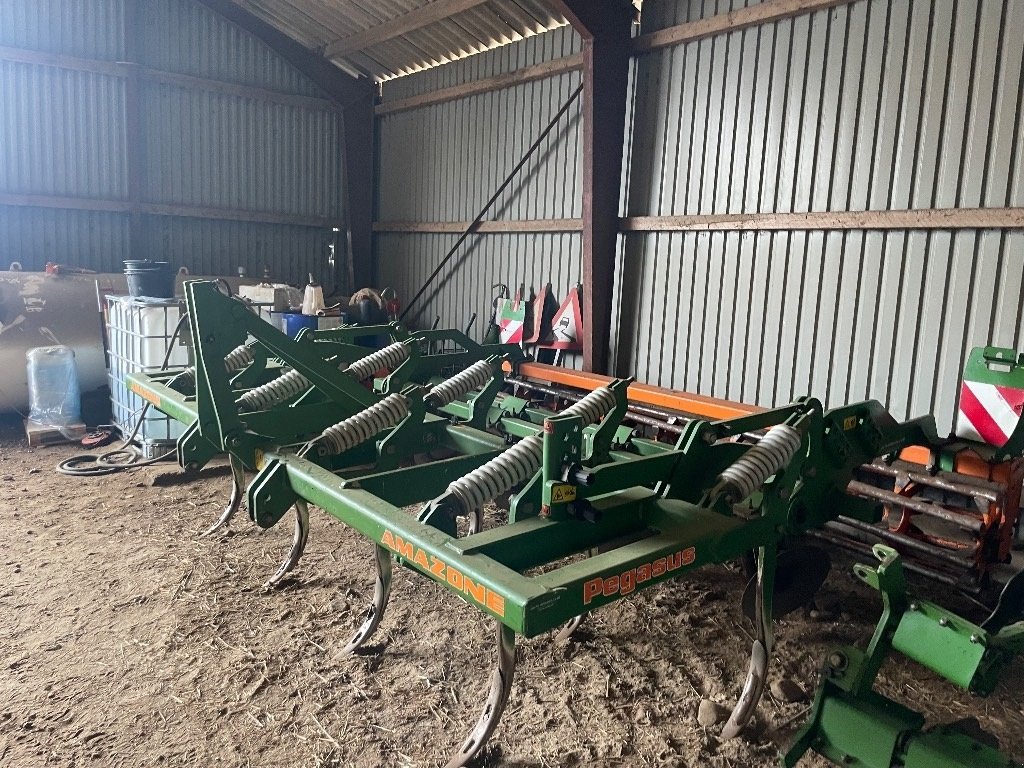 Zinkenrotor (Ackerbau) of the type Amazone Pegasus SG4002, Gebrauchtmaschine in Kolding (Picture 4)