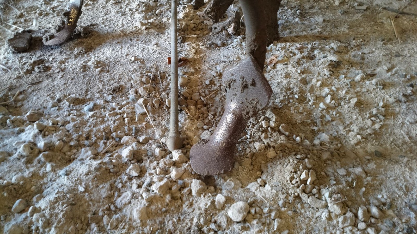 Zinkenrotor (Ackerbau) tipa Kongskilde 13 tand med halmnedmuldrer, Gebrauchtmaschine u Egtved (Slika 5)