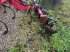 Zinkenrotor (Ackerbau) del tipo Kongskilde VIBROFLEX 4300, Gebrauchtmaschine In Rødding (Immagine 5)