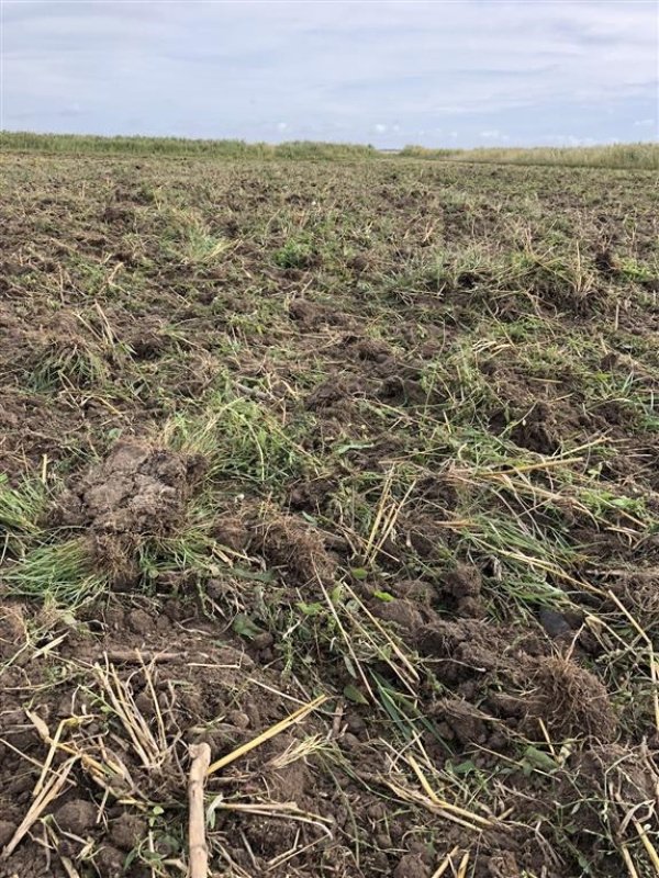 Zinkenrotor (Ackerbau) tipa Kuhn Prolander 7500, Gebrauchtmaschine u Løgstør (Slika 14)