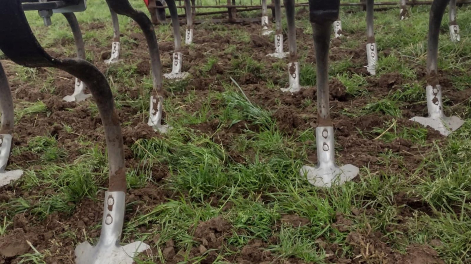 Zinkenrotor (Ackerbau) του τύπου Saphir Allstar 601 longline, Gebrauchtmaschine σε Bolderslev (Φωτογραφία 2)