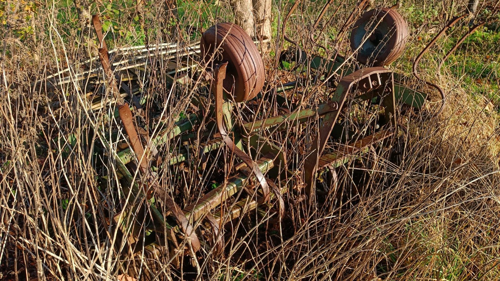 Zinkenrotor (Ackerbau) of the type Sonstige Sælges momsfri, Gebrauchtmaschine in Egtved (Picture 5)