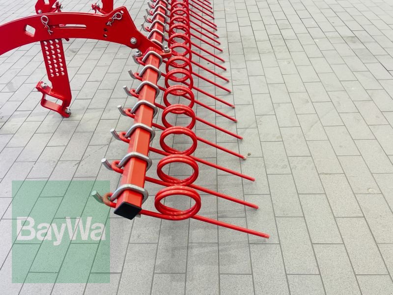 Zubehör Transporttechnik of the type Ziegler Nachlauf Striegel  3M, Gebrauchtmaschine in Manching (Picture 4)