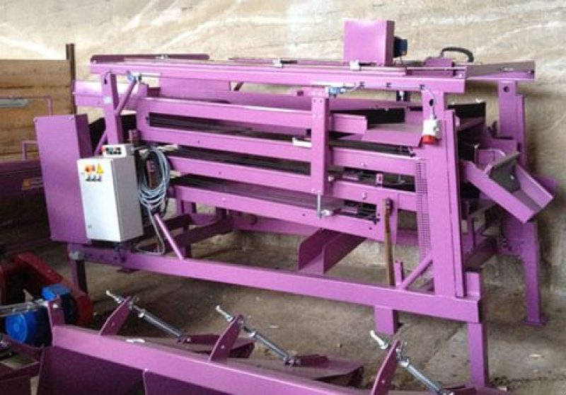 Kartoffel-Sortiermaschine typu Sonstige Kartoffelsortiermaschine NRS12-4, Neumaschine v Apetlon (Obrázek 2)
