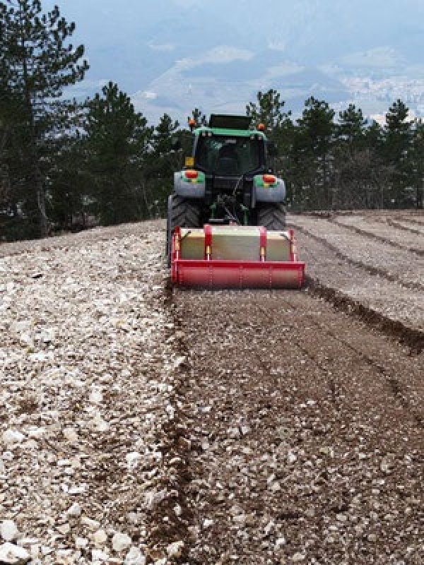 Stockfräse of the type Seppi Midisoil 225 Kvalitetsmaskine - til dig der ønsker en solid løsning!, Gebrauchtmaschine in Kjellerup (Picture 3)