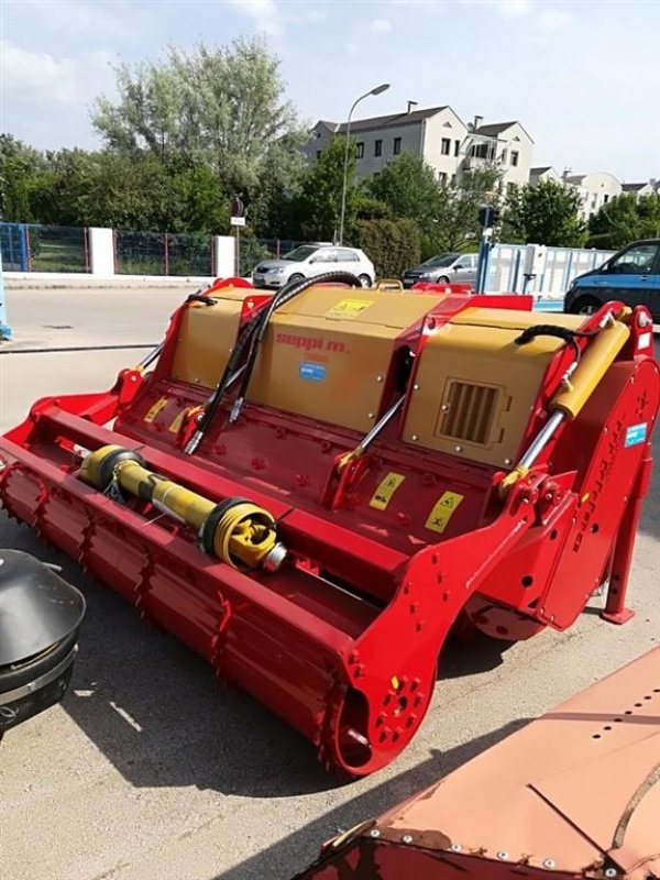 Stockfräse του τύπου Seppi Starsoil 225 Robust maskine med faste mejsler "mono protect", Gebrauchtmaschine σε Kjellerup (Φωτογραφία 2)