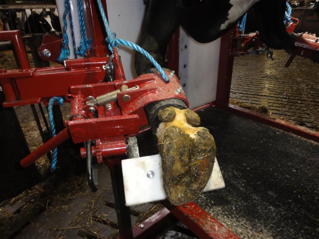 Sonstiges typu Pomi Std1 Fabriksny, Gebrauchtmaschine v Nørager (Obrázek 3)