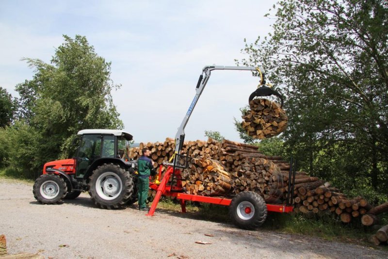 Astschere του τύπου Sonstige Astsäge, Neumaschine σε Nittenau (Φωτογραφία 9)