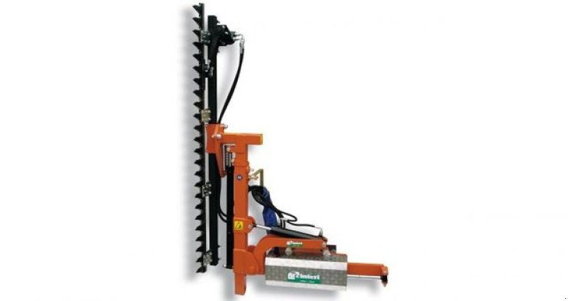 Laubschneider typu Rinieri Laubschneider, Neumaschine w Gerasdorf (Zdjęcie 2)