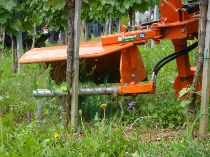 Sonstige Obsttechnik & Weinbautechnik tip Rinieri Rinieri Stockputzer, Neumaschine in Gerasdorf (Poză 2)