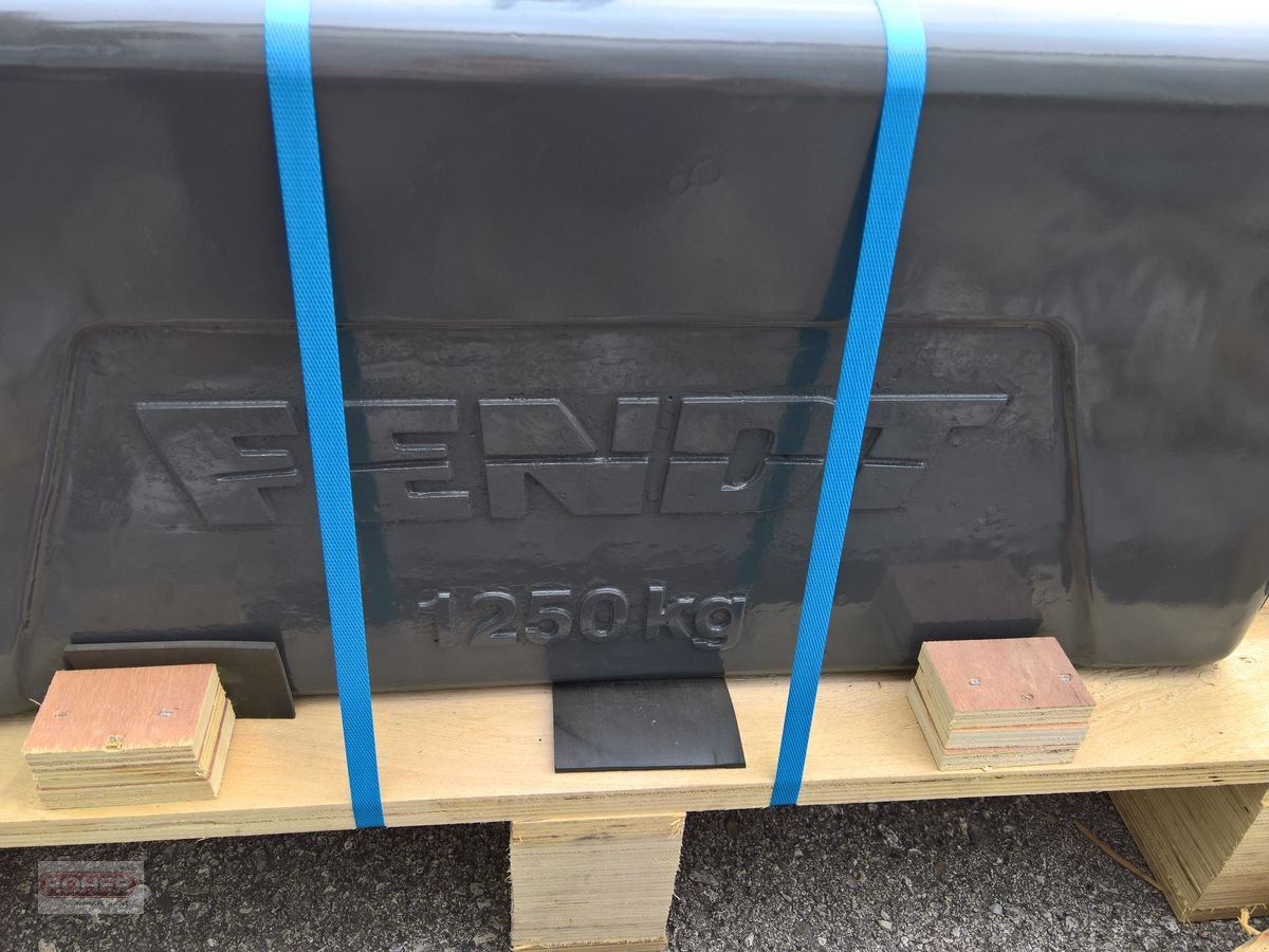 Frontgewicht typu Sonstige Ballastgewicht Gusseisen 1250kg, Neumaschine v Wieselburg Land (Obrázek 3)