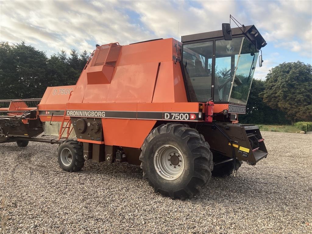 Mähdrescher of the type New Holland Mejetærskere købes, Gebrauchtmaschine in Rødekro (Picture 7)