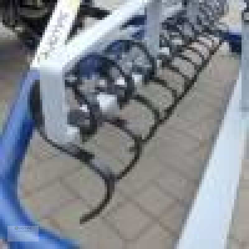 Sonstige Walzen typu Vemac Bahnplaner Reitbahnplaner Reitplatzplaner Planer NEU 160cm, Neumaschine v Sülzetal OT Osterweddingen (Obrázek 11)