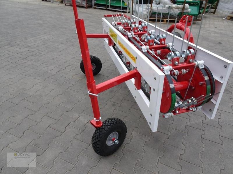 Kreiselheuer Türe ait Vemac Bandheuwender Mini 150-180cm Heuwender Schwader Heuschwader Bandwender Bandschwader NEU, Neumaschine içinde Sülzetal OT Osterweddingen (resim 8)