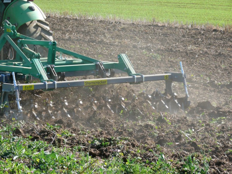 Grubber of the type EuM-Agrotec Vibrocat 30 Lagermaschine sofort verfügbar, Neumaschine in Thalmässing (Picture 11)