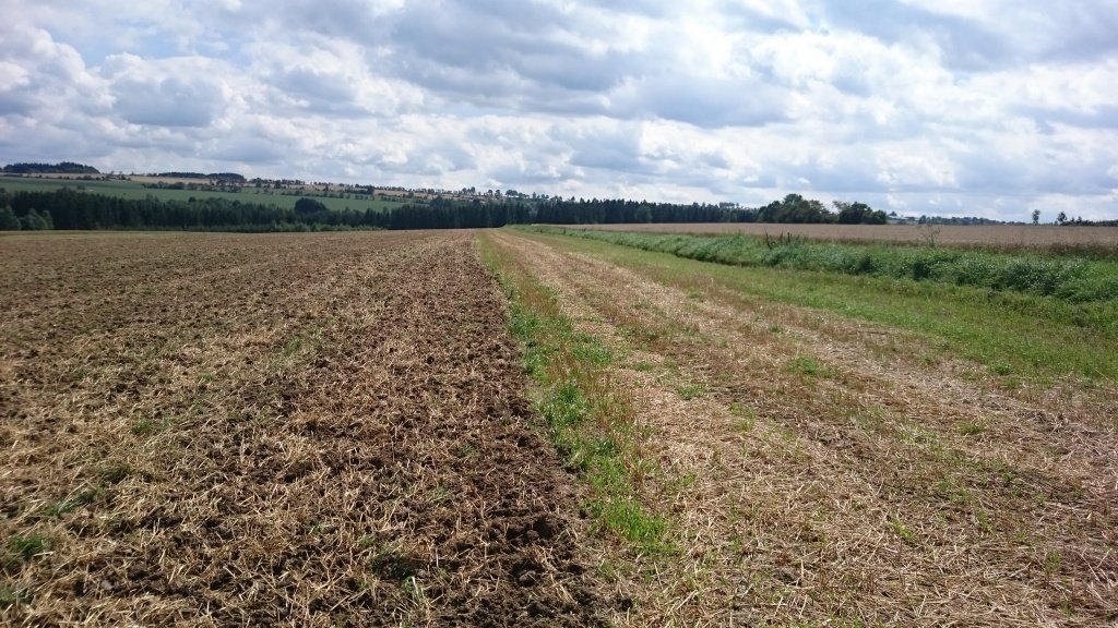Grubber typu EuM-Agrotec Vibrocat 60, Neumaschine v Thalmässing (Obrázek 13)